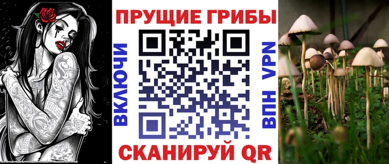 купить  сайты  KRAKEN как войти  Галлюциногенные грибы Cubensis  Лукоянов 